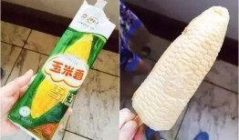 玉米雪糕爆料视频大全,夏日清凉美食大揭秘